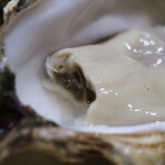 インド風カリーライス すぱいす - 