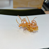 天ぷら 福たろう - 