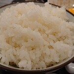 地鶏と手作り餃子が旨い店 一 - 白ご飯小