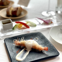 サーラ アマービレ -  サーラ アマービレ -