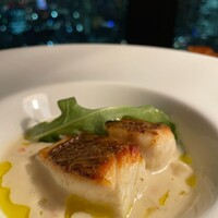 Bar＆Lounge MAJESTIC - 