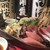 まぼろし海鮮 陸奥 - 料理写真:「おまかせ陸奥お刺身5種盛合わせ」その日入った東北の地魚や貝類を厳選して盛り込みます。迷ったらこれで間違いなし！