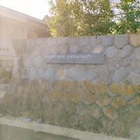 エヴァム・エヴァ・ヤマナシ・アジ - 