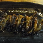 かぶと - しっぽ