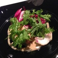 OTTO SETTE - 