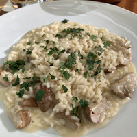 フィオレンティーナ -  フィオレンティーナ -