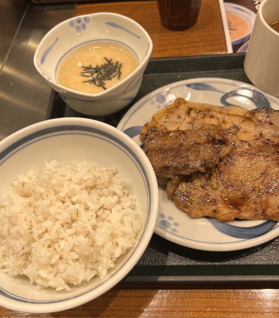 Negishi Akihabara Ten