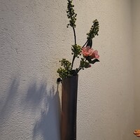 馬車道 大かわ - 