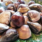 大和 - 二人分で２６粒ございました。