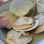 大和 - 私の大きな親指との比較。３年物でも結構な大きさ