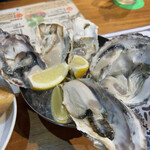 湘南バルはなたれ The Fish and Oysters - 