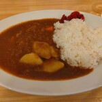 カレーだしっ! - 和風出汁カレー　野菜トッピング