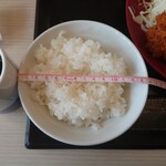 かつや - ロースかつ定食（120g）_792円→605円　お茶碗の直径13.5cm