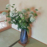 大和 - 人参の花だそうです