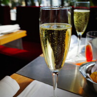 Benoit Alain Ducasse - 
