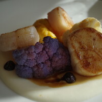 Benoit Alain Ducasse - 