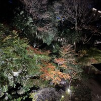 東山 ハイアット リージェンシー 京都 - 