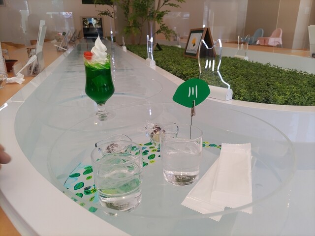 食品サンプル 喫茶店 飲食店 お冷 おひや 水滴付き