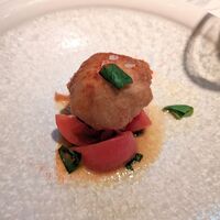 リストランテ･ヒロ チェントロ 丸ビル店 - 北海道産真鯛白子のフリット フレッシュフルーツトマトのサラダ仕立て