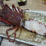 辰寿し - 伊勢海老刺身