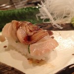 敏 - 貝…種類は失念しました；