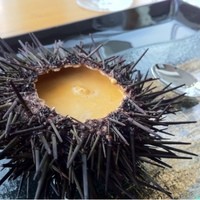 銀座 シェ・トモ - ウニの貴婦人風