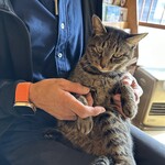 フォルノ ア レーニャ パネッツァ - 