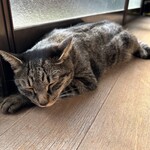 フォルノ ア レーニャ パネッツァ - 