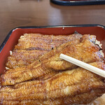 Unagi Ichifuji - 