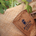 まめやかふぇ - 