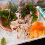 すし屋の喜楽 - 2013.5 生とり貝