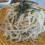 道の駅 北信州やまのうち 食堂 - コシのあるざるそば