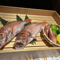 のどぐろ専門 銀座 中俣 - 