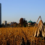 ハンバーグ＆ステーキ食堂クラウゾ - そしてすべては黄金色に染まり ……