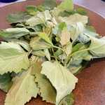 プレゼンテ スギ - 