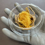 プレゼンテ スギ - 