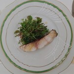 ペレグリーノ - 