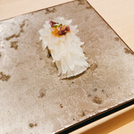 鮨 米島 - ヤリイカ