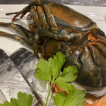 名駅 鉄板焼き 森本Ｘ Premium - 