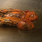 名駅 鉄板焼き 森本Ｘ Premium - 