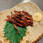 市橋 - ホタルイカあたりめ