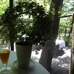 에르미타주 드 타무라