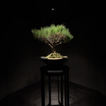 #肉といえば松田 - 