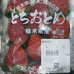 旬 - 栃木県産とちおとめ　498円+税