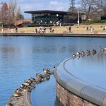 ブラッセリー ラ・シャンス - 環水公園。