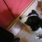 Mar - おやつおねだり中＾＾