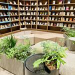 Book Lounge Kable - 