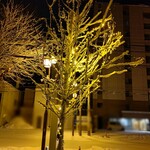 Resutoran Onetto - 敷地内の木々もライトアップ
