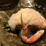 Oryouri Katsushi - 香箱蟹　Ｖサイン