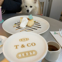 アニヴェルセル カフェ - 